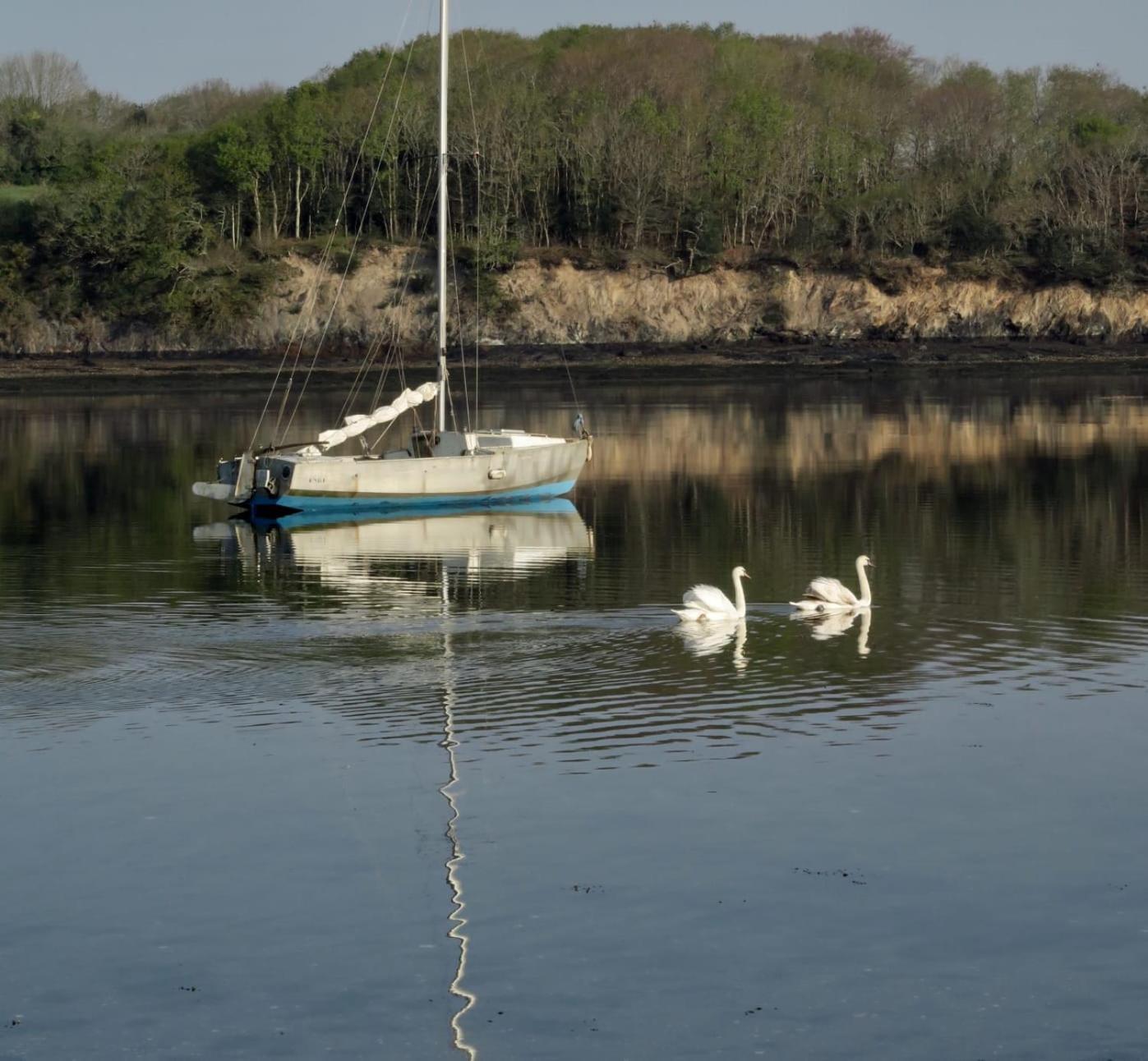 Charmante Petite Maison Rostiviec Bord De Mer Loperhet Kültér fotó